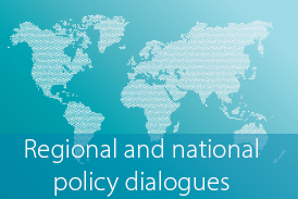 Button Regional and national policy dialogues